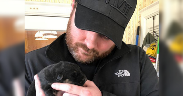 Chris Young Puppy – FB-1515616801